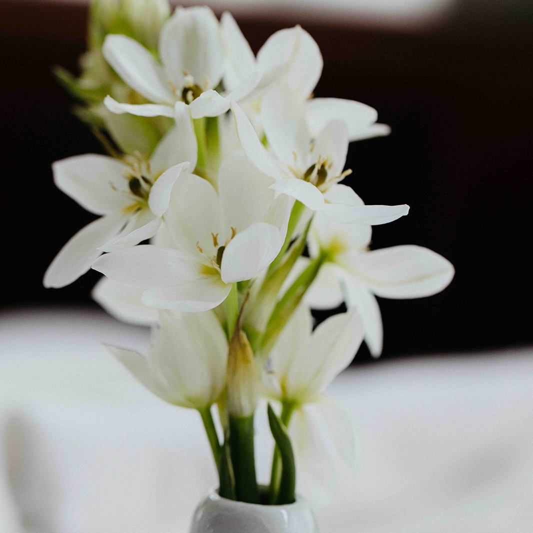 Mother's Day at Kiln